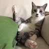 の写真