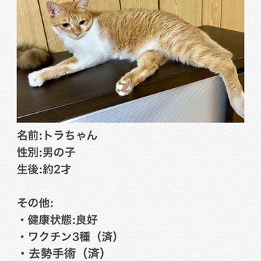 の写真