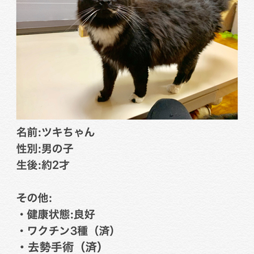 の写真