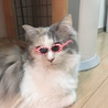 ふわちゃ