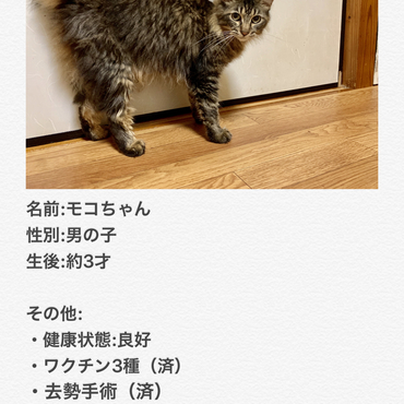 の写真