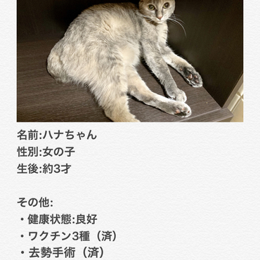 の写真