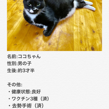 の写真