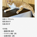 とても人懐っこいです♫