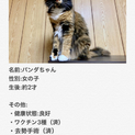 とても人懐っこい猫ちゃんです♫