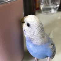 そら
