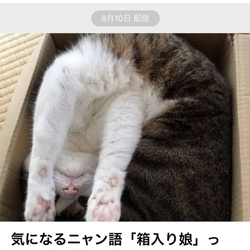 ねこのきもちニュース