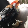 の写真