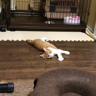 の写真