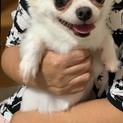 里親様決まりました！