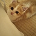 笑顔にやられます(≧∀≦)オレオくん