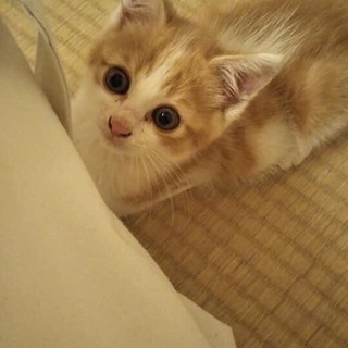 笑顔にやられます(≧∀≦)オレオくん