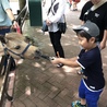 まによん
