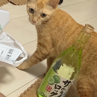 がんも