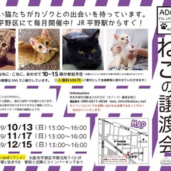 ねこの譲渡会＠平野アンド