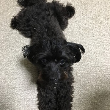 の写真