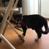 ちょっと怒