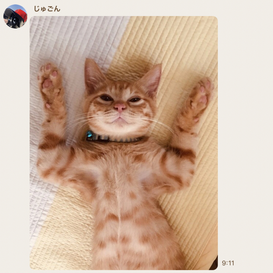 ノスケのカバー写真