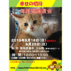 ２０１９年８月１８日の２５日保護猫譲渡会