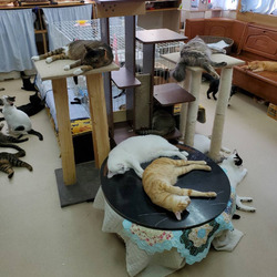 「残暑お見舞い申し上げます」サムネイル3