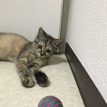 の写真