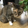 の写真