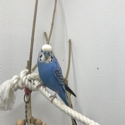 3歳おめでとう！