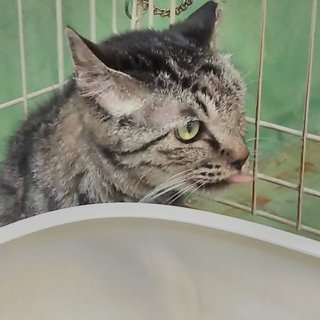 キュートな口元とグッとくる目ヂカラ