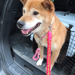 「アンジーと花火大会」サムネイル2