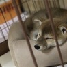 りりママさりー