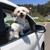 ぽっけ