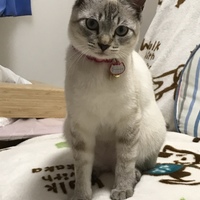 こまろ