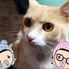 うなぎ12