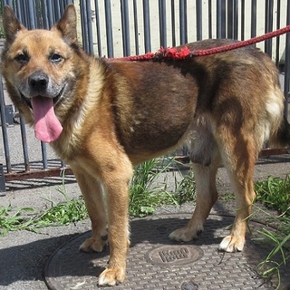 塩さん。くいしんぼ