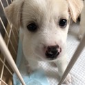 いいご縁がありました！
