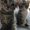 の写真