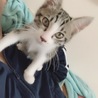 ーみのわー