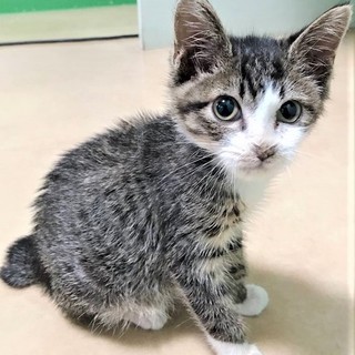 目が見えないけど、愛くるしい瞳の元気くん