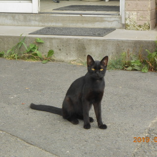 よろしくお願いします