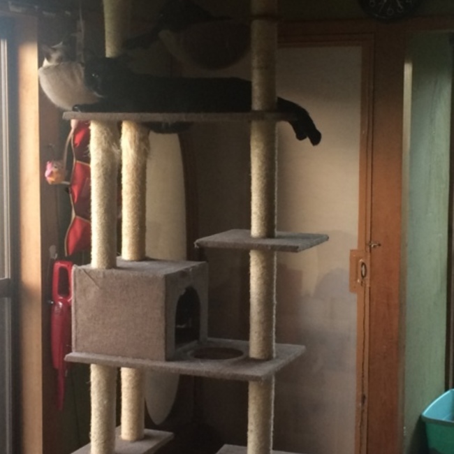 おいだこんのカバー写真