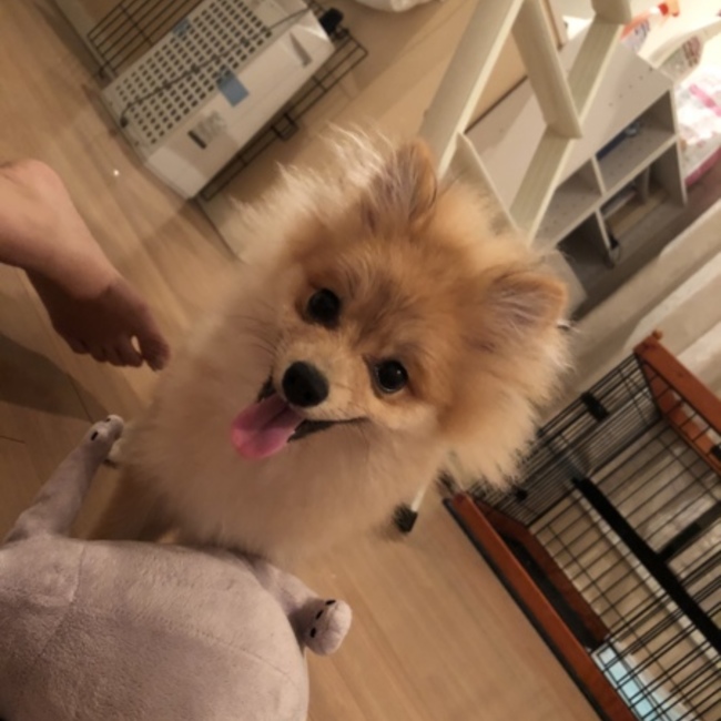 イトウマサルのカバー写真