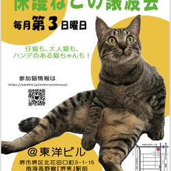 第60回 保護ねこの譲渡会