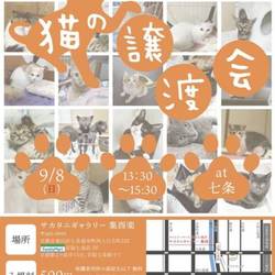 ねこの譲渡会＠京都七条 サムネイル1
