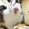 ふるたかぶー