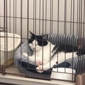 至急お願いします