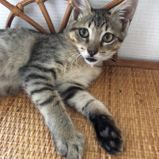 お問合せがあり一旦停止中です。