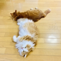 それぞれのお盆の過ごし方