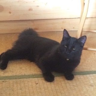 ３兄弟☆とてもやんちゃな男の子