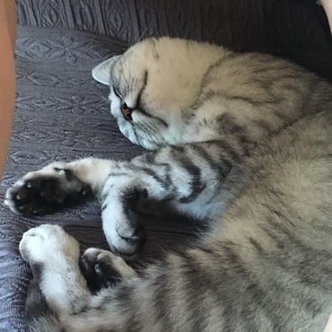 ぐっすり寝過ぎ。