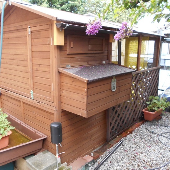 dr30のカバー写真